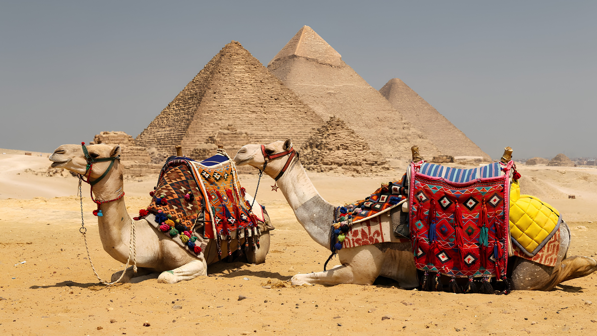 تحسن نشاط القطاع الخاص غير النفطي في مصر خلال يوليو