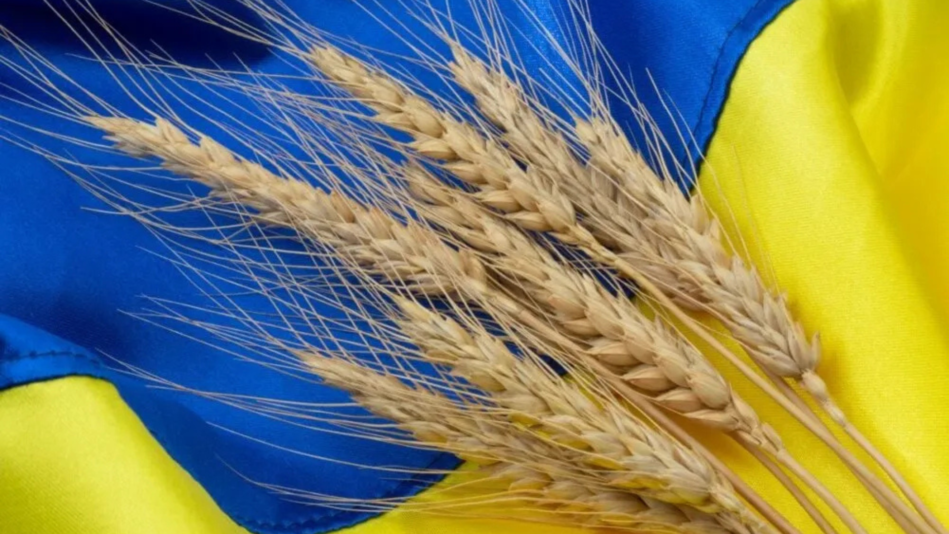 أوكرانيا تخفض توقعاتها الصادرات الحبوب بسبب هجمات روسيا