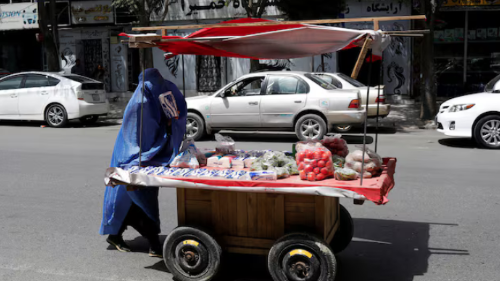 منظمة العمل الدولية: نصيب النساء بسوق العمل الأفغانية تقلص إلى 5% تحت إدارة طالبان