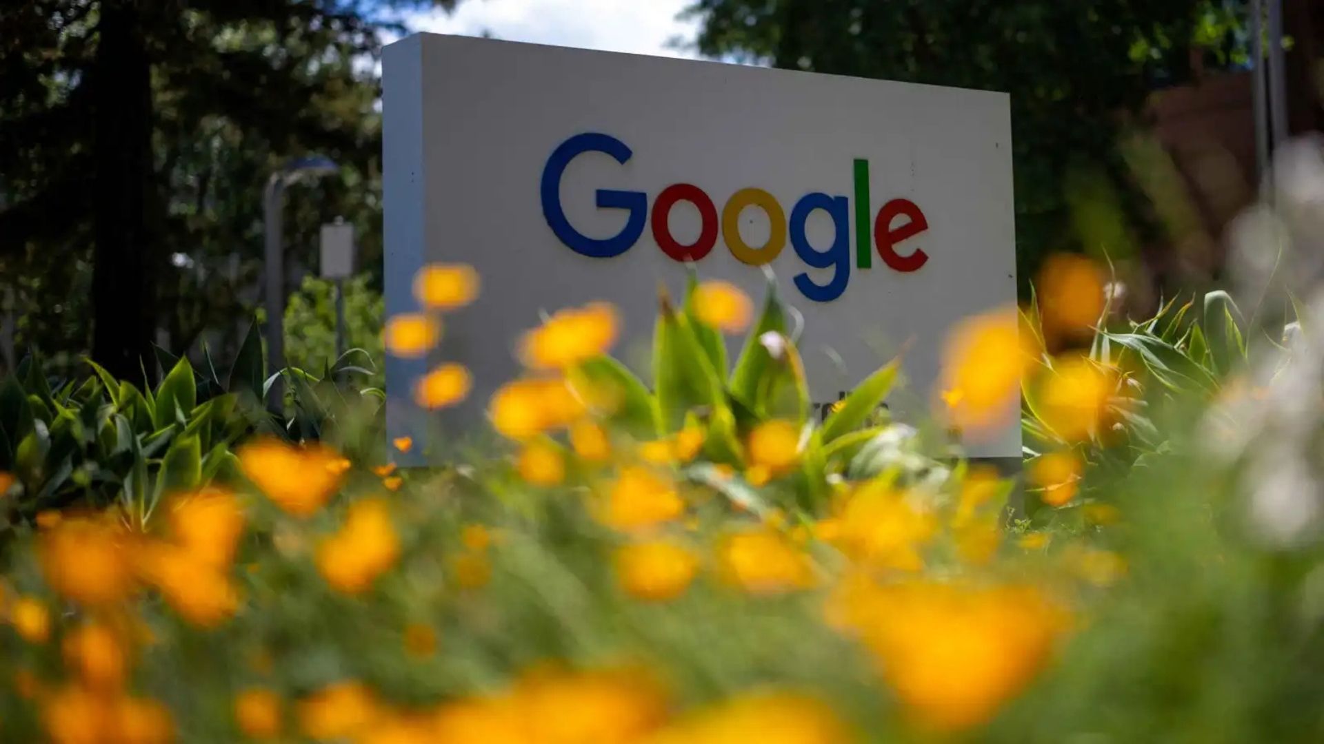 بحث داخلي للملاحظات في Google Keep