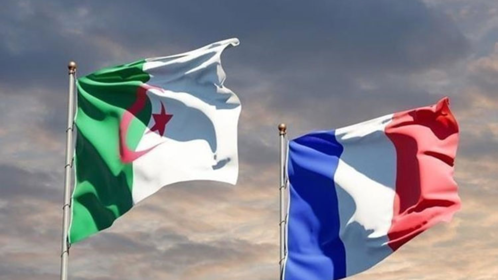 الجزائر توقف صادرات اليوريا إلى فرنسا